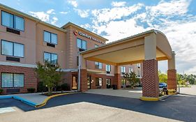 Comfort Inn & Suites Cambridge